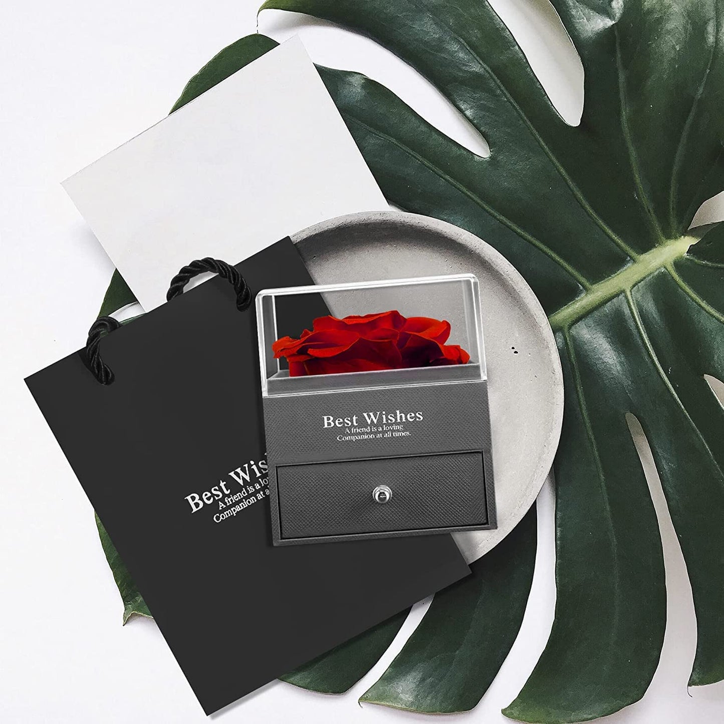 Eterna Rosa Preservada Box Rosa e Colar Romántico