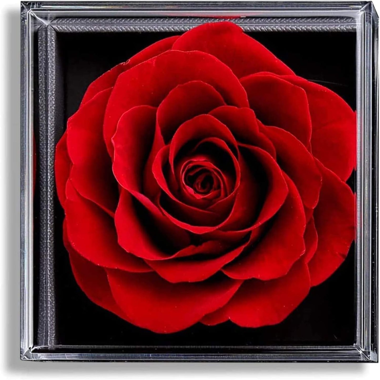 Eterna Rosa Preservada Box Rosa e Colar Romántico