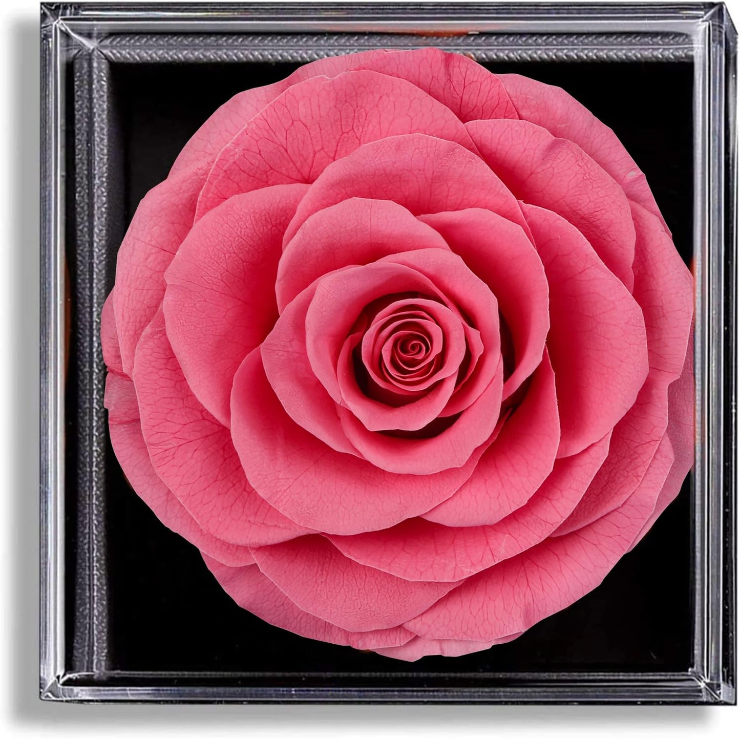 Eterna Rosa Preservada Box Rosa e Colar Romántico